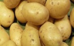 Pomme de terre : le Directeur du commerce Intérieur rejette toute idée de pénurie