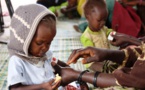 Niger: inquiétude sur les cas de paludisme et de malnutrition infantile