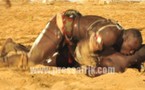 (Photos) Combat de lutte Ama Baldé vs Balla Diouf: Le film du combat