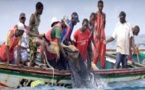 Grève illimitée des pêcheurs de Joal-Fadiouth : Le ministère de la Pêche réagit
