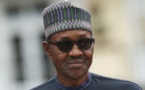 Buhari lance un ultimatum aux ‘fraudeurs’ fiscaux nigérians