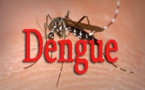 Propagation de la Dengue : le nombre de cas passe à 29, deux autres communes de Fatick touchées
