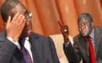Le Pds à Touba ce jeudi : Risque de télescopage entre Macky et les émissaires de Wade