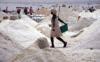 Alerte rouge sur le sel sénégalais : "c'est un mauvais sel qui contient du plastique et..."