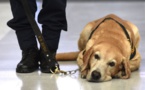 Des chiens renifleurs pour aider à éradiquer le paludisme