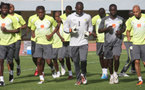 Eliminatoires CAN 2012 - Sénégal vs Cameroun: 17 Lions présents au premier galop