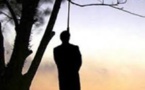 ​Ziguinchor: une dame retrouvée pendue à un arbre