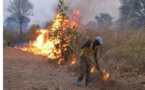  Les feux de brousse : une menace réelle pour les ressources naturelles …