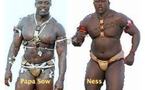 Lutte-Combat: Papa Sow vs Ness en direct sur Pressafrik.com