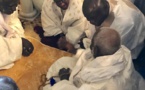 Vidéo - Les larmes de Madické Niang à son audience avec le Khalife des mourides 