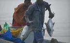 Partenariat pour une gestion durable de la pêche au Sénégal