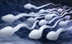 La pilule contraceptive pour hommes a passé avec succès les premiers tests cliniques