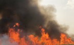 URGENT - Un incendie s'est déclaré à la Sonacos
