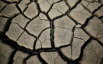 La sécheresse va faire baisser la croissance du Kenya