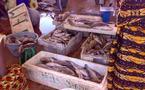 Le marché central au poisson de Pikine a un besoin urgent d’un milliard 200 millions