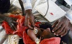 Zéro pédiatre à Sédhiou: des médecins transportés de Dakar pour consulter les enfants 