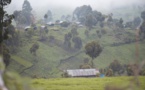 RDC: dans le Masisi, insécurité et déplacements de population riment avec viols