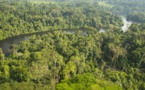 Biodiversité: de nombreuses espèces en danger dans le bassin du Congo