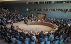 Le Conseil de sécurité de l'ONU se penche sur la crise humanitaire au Cameroun
