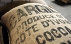 Ghana et Côte d'Ivoire suspendent leurs ventes de cacao