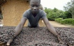 Menace sur le chocolat après la suspension des ventes de cacao du Ghana et de la Côte d’Ivoire