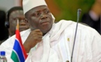"Filles violées par Yaya Jammeh": Alioune Tine annonce que la CPI sera saisie