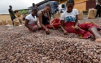 Cacao: échec de la réunion de la filière à Abidjan