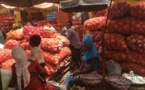 Tabaski 2019: « il n’y aura ni hausse ni pénurie d’oignon », assure le ministre de l'Agriculture rassure