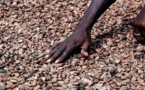 Entente Ghana-Côte d'Ivoire sur le cacao : «une rupture historique»