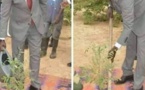 Habillé en costume cravate, le ministre de l’Environnement plante un arbre debout sur une natte