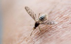 Les raisons de l'épidémie de paludisme au Burundi