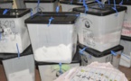 Guinée: la révision du fichier électoral cristallise les tensions