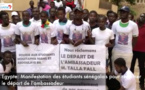 Manifestation des étudiants sénégalais en Égypte: La Direction des bourses sort du silence 