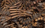 Centrafrique : nouvelle livraison d’armes russes à Bangui