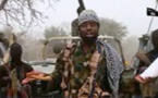Boko Haram : 10 ans après : les secrets de la longévité