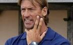 Hervé, le renard qui a piégé le lion