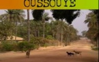 ​Casamance : les populations du village de Sinko listent les maux de leur localité