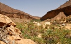 Changement climatique: les oasis sahariennes en danger