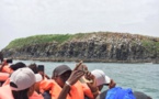 Dangers sur la traversée Dakar-Îles Madeleine: l'initiateur du #Kebetu avait alerté en 2018