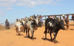 À Madagascar, les forces de l’ordre accusées d’extorquer des zébus aux éleveurs