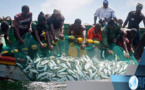 Près de 130 000 tonnes de poissons débarquées en 2018 au quai de pêche de Joal-Fadiouth
