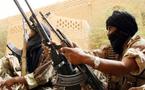 Mali : les rebelles du MNLA contrôlent une localité dans le Nord
