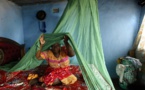 Congo-Brazzaville: distribution de masse de moustiquaires imprégnées