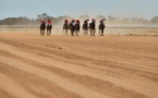 L'Australie choquée par un reportage sur l'abattage massif de chevaux de course