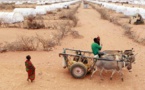 Une nouvelle sécheresse dans la Corne de l'Afrique inquiète les humanitaires