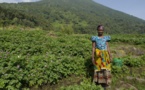 Malgré l'accord, la crise entre Rwanda et Ouganda fait monter les prix