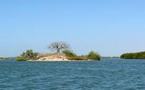 TOURISME DANS LE DELTA SALOUM: Quand la campagne électorale plombe le secteur