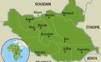 Soudan du Sud : la poursuite des violences intercommunautaires préoccupe l'ONU