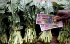 La famine menace le Zimbabwe
