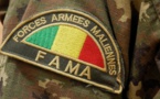 Sahel: les problèmes et défis des forces armées maliennes